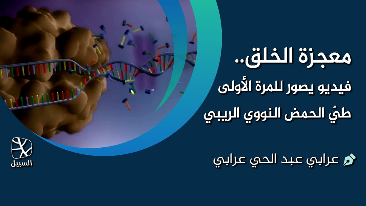 معجزة الخلق