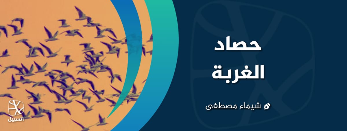 حصاد الغربة